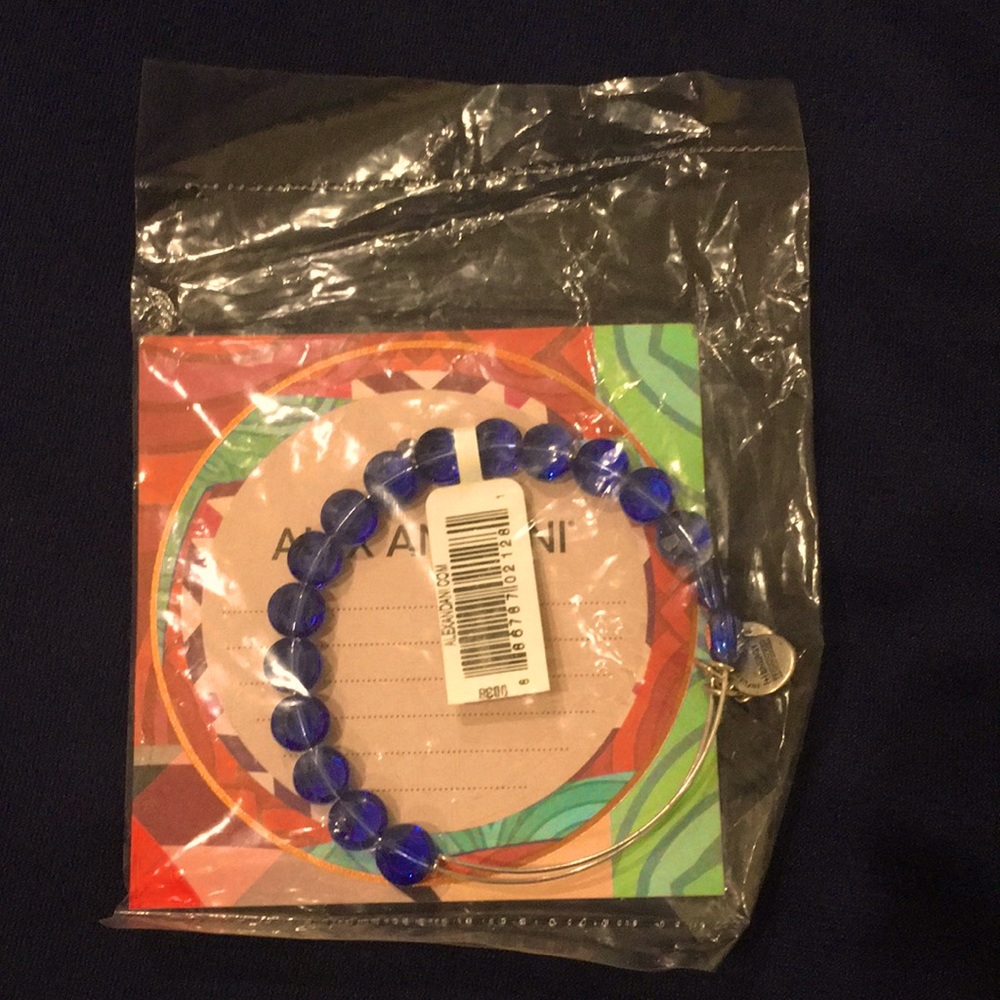 A never worn still in the bag Alex and Ani bracelet